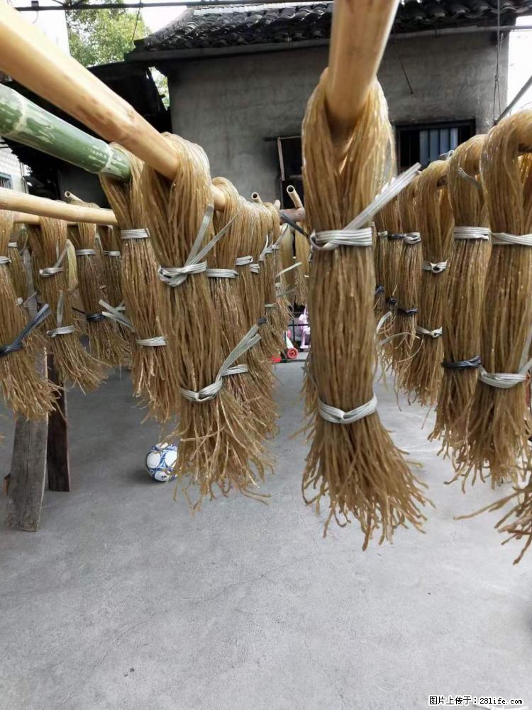 【灌阳正宗红薯粉】美女家里自己做的,干净卫生,假一赔十,价格合理,抢购电话:13737312895 - 美食天地 - 商丘生活社区 - 商丘28生活网 sq.28life.com