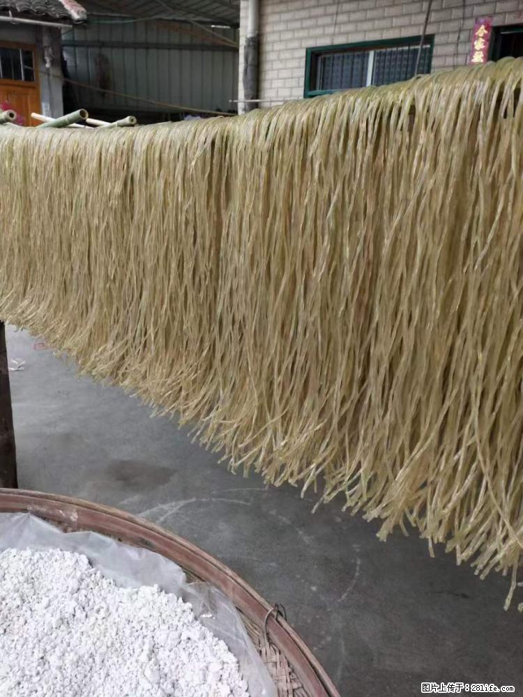 【灌阳正宗红薯粉】美女家里自己做的,干净卫生,假一赔十,价格合理,抢购电话:13737312895 - 美食天地 - 商丘生活社区 - 商丘28生活网 sq.28life.com