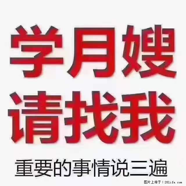 为什么要学习月嫂,育婴师? - 其他广告 - 广告专区 - 商丘分类信息 - 商丘28生活网 sq.28life.com