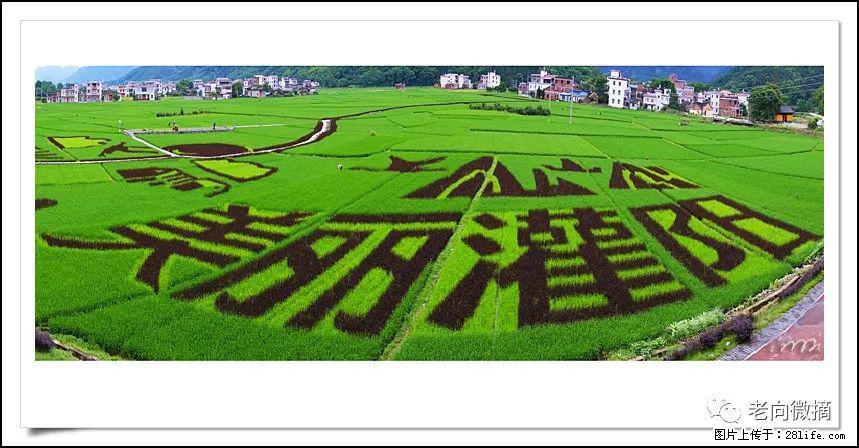 【春天,广西桂林灌阳县向您发出邀请!】开篇 - 游山玩水 - 商丘生活社区 - 商丘28生活网 sq.28life.com