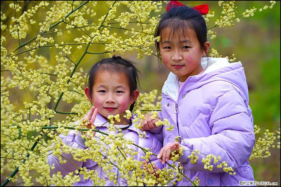 【春天,广西桂林灌阳县向您发出邀请!】米珠山前有片山苍子花在飘香 - 游山玩水 - 商丘生活社区 - 商丘28生活网 sq.28life.com