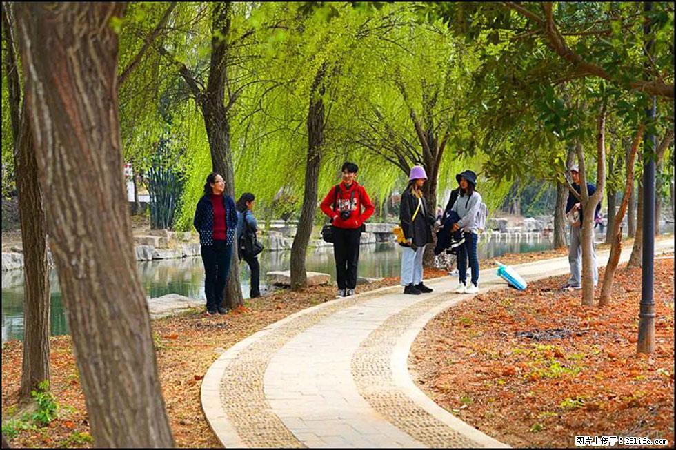 【春天,广西桂林灌阳县向您发出邀请!】江口老街又逢春 - 游山玩水 - 商丘生活社区 - 商丘28生活网 sq.28life.com