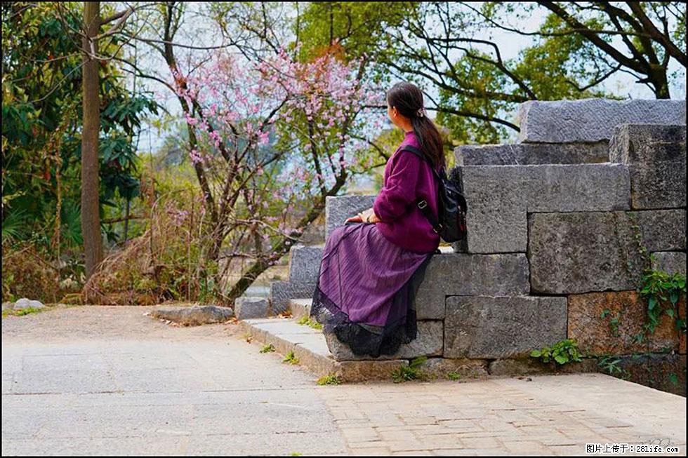 【春天,广西桂林灌阳县向您发出邀请!】江口老街又逢春 - 游山玩水 - 商丘生活社区 - 商丘28生活网 sq.28life.com