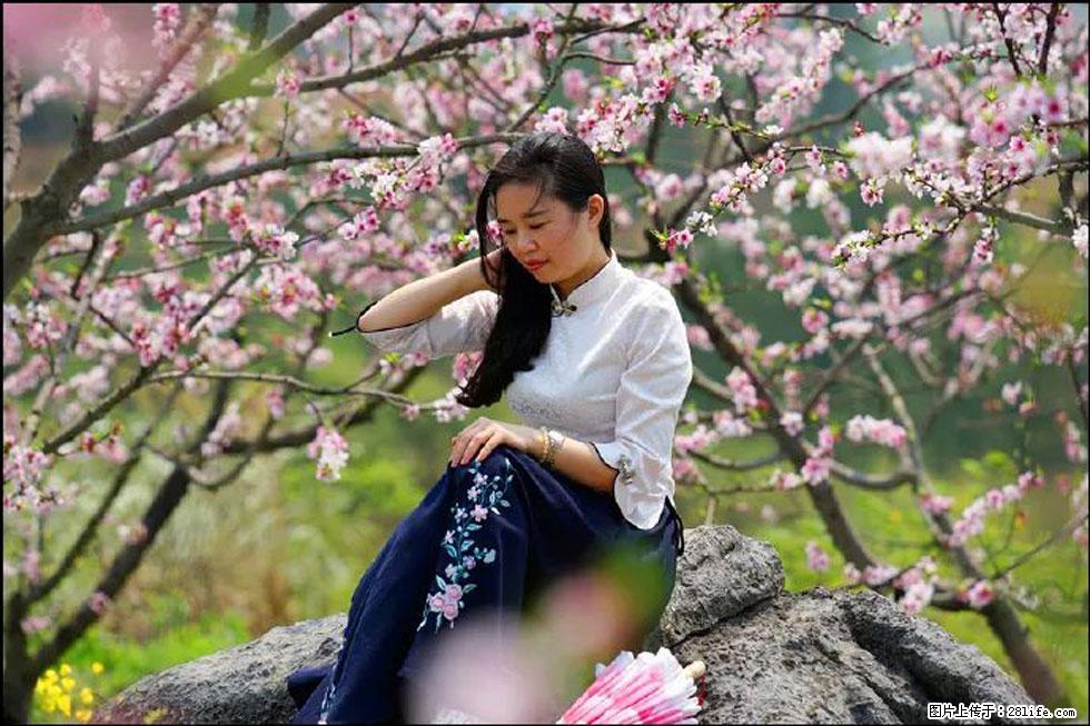 【春天,广西桂林灌阳县向您发出邀请!】望月岭上桃花开 - 游山玩水 - 商丘生活社区 - 商丘28生活网 sq.28life.com
