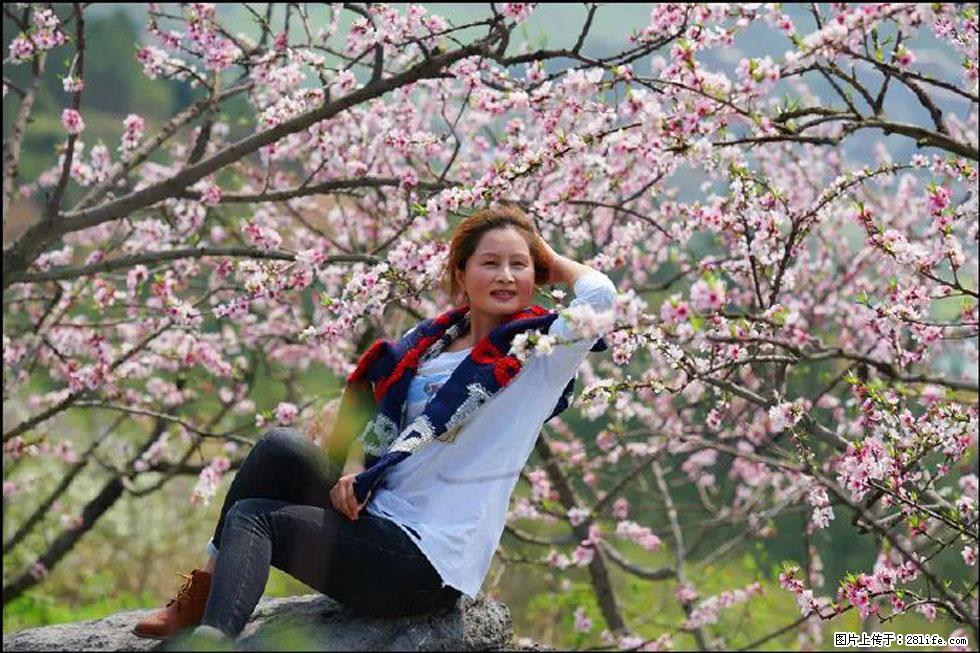 【春天,广西桂林灌阳县向您发出邀请!】望月岭上桃花开 - 游山玩水 - 商丘生活社区 - 商丘28生活网 sq.28life.com