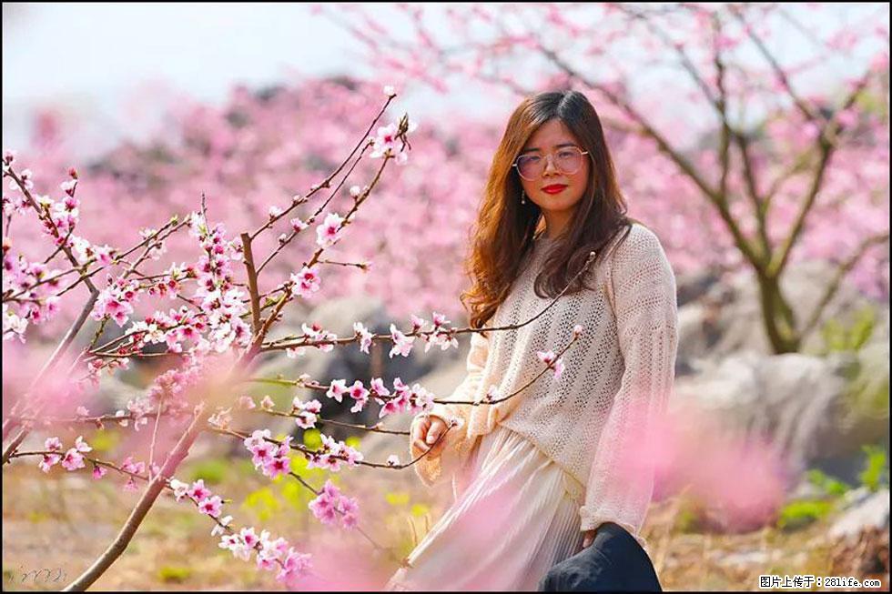 【春天,广西桂林灌阳县向您发出邀请!】望月岭上桃花开 - 游山玩水 - 商丘生活社区 - 商丘28生活网 sq.28life.com