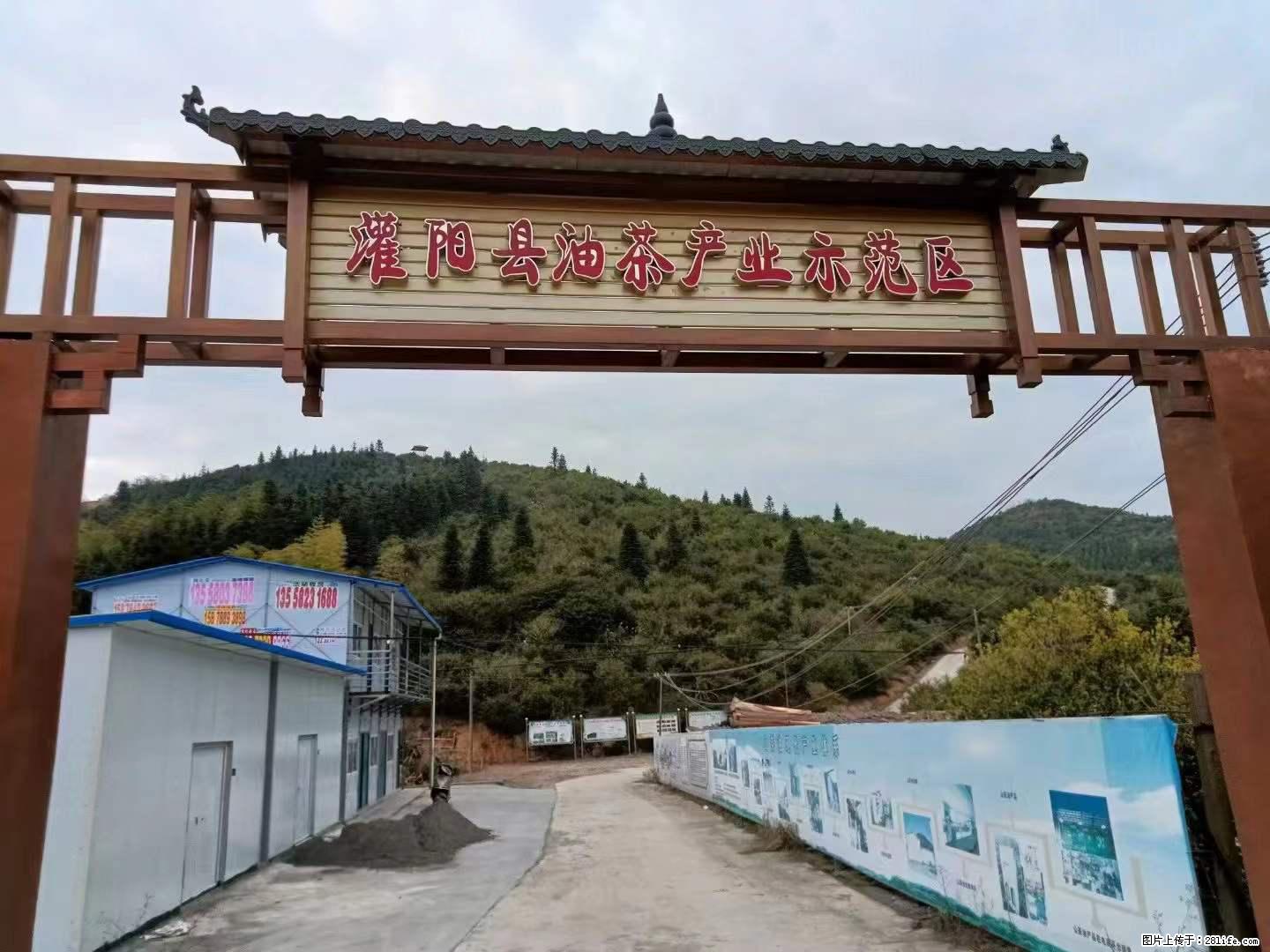 【灌阳县油茶产业示范区】一个有着充实的精神生活的人,对待身外之物自会有一种淡泊的态度 - 美食天地 - 商丘生活社区 - 商丘28生活网 sq.28life.com