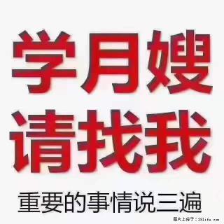 为什么要学习月嫂,育婴师? - 商丘28生活网 sq.28life.com