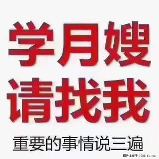 为什么要学习月嫂，育婴师？ - 商丘28生活网 sq.28life.com