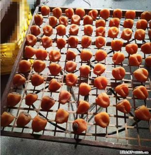 广西桂林平乐桥亭【柿饼之乡】2025年纯手工制作、无任何添加剂的第一批柿饼准备上市了，欢迎联系订购！ - 商丘28生活网 sq.28life.com