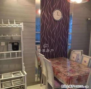 天明帝一城 精装3室 家电齐全 温馨舒适 电梯双气 业主实租 - 商丘28生活网 sq.28life.com