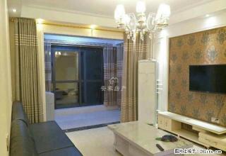 信华城 三室精装修 不新不要钱 拎包即住 随时看房 - 商丘28生活网 sq.28life.com