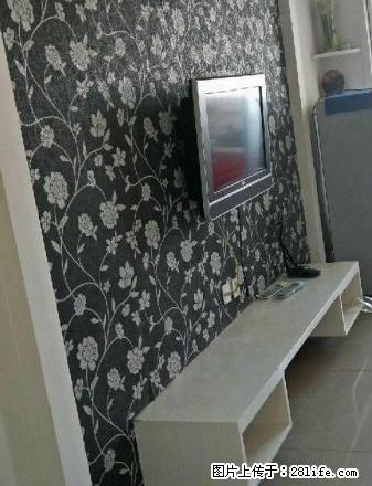 都会国际 一室 精装 900每月 拎包即住 随时看房 - 房屋出租 - 房屋租售 - 商丘分类信息 - 商丘28生活网 sq.28life.com