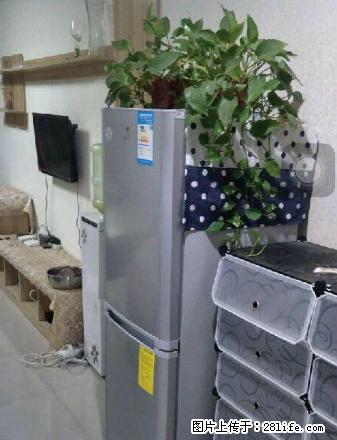 未来国际 一室 精装 1200每月 拎包即住 随时看房 - 房屋出租 - 房屋租售 - 商丘分类信息 - 商丘28生活网 sq.28life.com