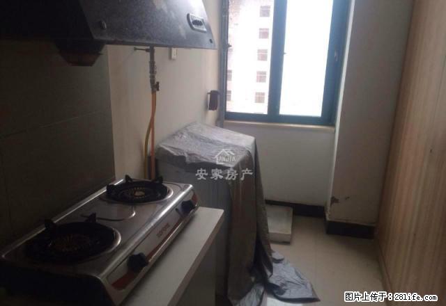 神火大道 未来国际 冬天里的绿洲 南户1室 拎包即住 - 房屋出租 - 房屋租售 - 商丘分类信息 - 商丘28生活网 sq.28life.com