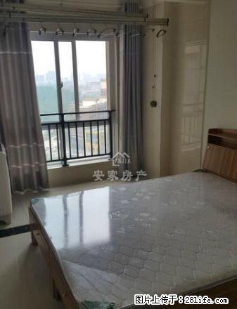 长江路斜拉桥 帝和左岸香颂 精装1室 厅室分离 拎包即住 - 房屋出租 - 房屋租售 - 商丘分类信息 - 商丘28生活网 sq.28life.com