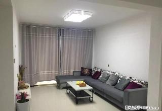 时代城 精装 三室 精装出租!全新大路头排房子 采光很好 - 商丘28生活网 sq.28life.com