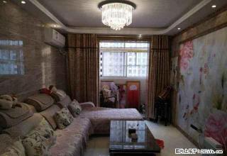 益民小区两室一厅精装出租！随时看房。 - 商丘28生活网 sq.28life.com