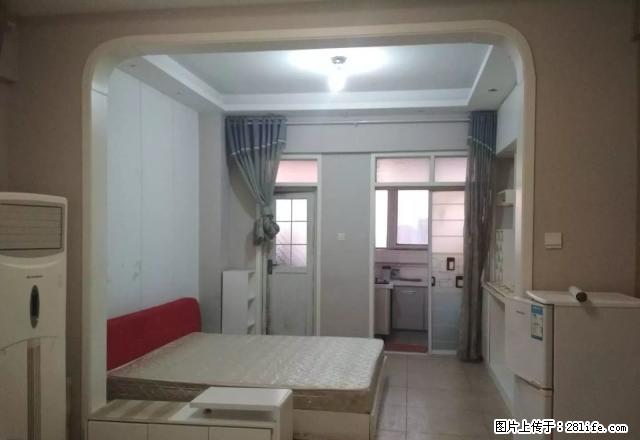 都会国际 一室一厅 精装 双气 拎包即住随时看房 有钥匙 - 房屋出租 - 房屋租售 - 商丘分类信息 - 商丘28生活网 sq.28life.com