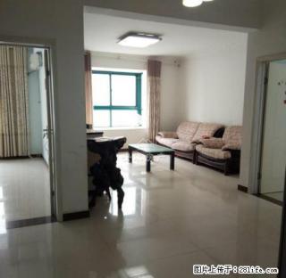 大润发旁 白云公馆 双气两室精装出租 业主实租 价位便宜 - 商丘28生活网 sq.28life.com