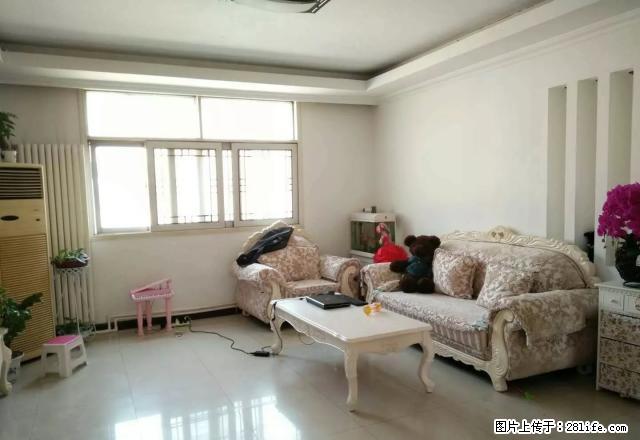 中央直属粮库公寓 3室2厅1卫 - 房屋出租 - 房屋租售 - 商丘分类信息 - 商丘28生活网 sq.28life.com