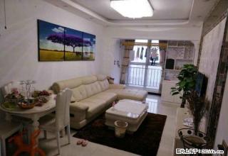 金博大绝美房间豪华装修两室！仅限一套！求双击 - 商丘28生活网 sq.28life.com