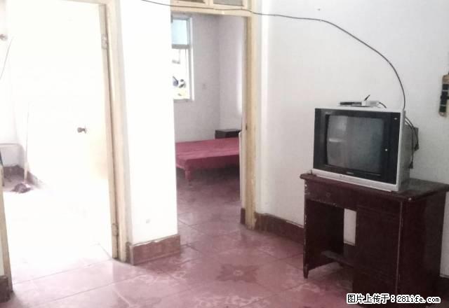 五一粮店楼上 南北通透 小三室 有配房 生活方便 - 房屋出租 - 房屋租售 - 商丘分类信息 - 商丘28生活网 sq.28life.com
