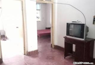 五一粮店楼上 南北通透 小三室 有配房 生活方便 - 商丘28生活网 sq.28life.com