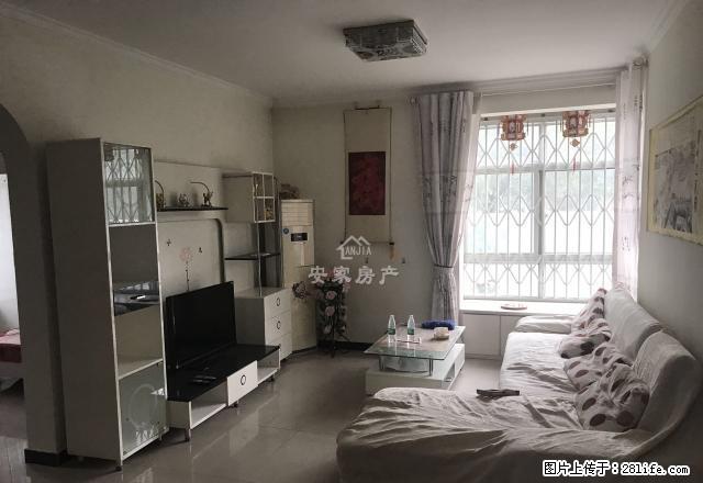帝和水上公园一楼带院一楼带院真正拎包住采光无敌欢迎来电随时看 - 房屋出租 - 房屋租售 - 商丘分类信息 - 商丘28生活网 sq.28life.com
