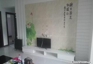 建业联盟新城 电梯双气大三室 精装修 随时看房 - 商丘28生活网 sq.28life.com