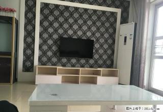 威海路附近精装两室 急租 随时看房 - 商丘28生活网 sq.28life.com