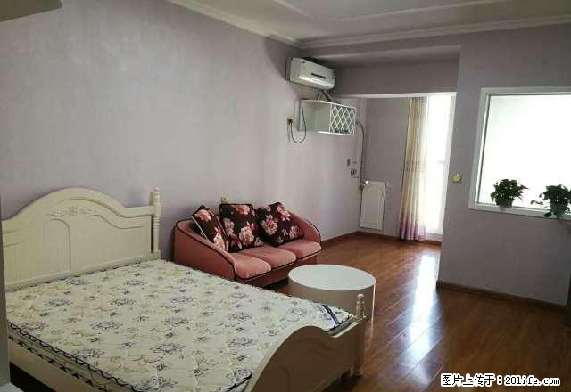 金博大西塔 温馨一室 家的感觉 仅此一套 手慢无 - 房屋出租 - 房屋租售 - 商丘分类信息 - 商丘28生活网 sq.28life.com