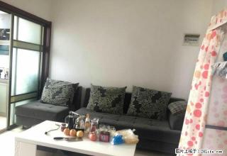 地一公馆 一室一厅 东西齐全 也可租半年 - 商丘28生活网 sq.28life.com