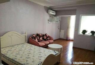 金博大西塔 温馨一室 家的感觉 仅此一套 手慢无 - 商丘28生活网 sq.28life.com