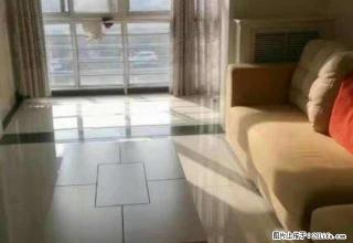 上河嘉园 精装三室 拎包入住 免费停车 - 商丘28生活网 sq.28life.com