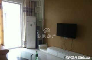 帝和B区精装3室电梯双气拎包入住随时看房采光无敌价格便宜急租 - 商丘28生活网 sq.28life.com