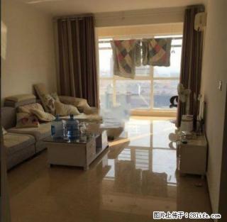 睢阳商都奕景 精装2室 家电家具齐全 随时看房 - 商丘28生活网 sq.28life.com