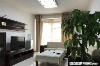 金世纪附近帝和水上公园新出精装三室家具家电齐全拎包即可入住! - 商丘28生活网 sq.28life.com