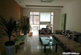 盛大世纪名城 大三室两厅全新精装双气房屋领包即住 急 - 商丘28生活网 sq.28life.com