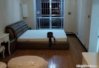 龙翔公寓标准一室一厅房屋出租!真实图片!随时看房。 - 商丘28生活网 sq.28life.com