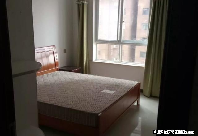 急租 急租 急租 一高旁 一高旁 家具电器齐全 领包 - 房屋出租 - 房屋租售 - 商丘分类信息 - 商丘28生活网 sq.28life.com