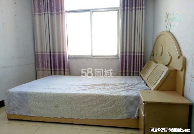 南关医院附近 房屋出租 - 房屋出租 - 房屋租售 - 商丘分类信息 - 商丘28生活网 sq.28life.com