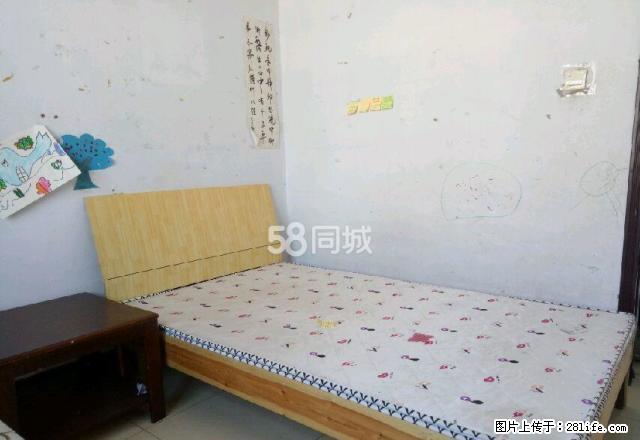 精装修 ,家电齐全,拎包入住 - 房屋出租 - 房屋租售 - 商丘分类信息 - 商丘28生活网 sq.28life.com