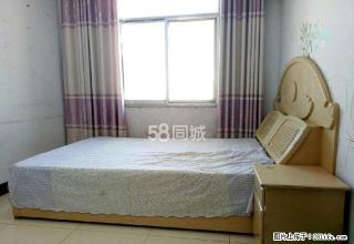 南关医院附近 房屋出租 - 商丘28生活网 sq.28life.com