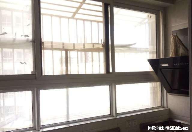 神火大道 帝景北苑 一室一厅 厅室分离 精装修 家具电器齐全 - 房屋出租 - 房屋租售 - 商丘分类信息 - 商丘28生活网 sq.28life.com