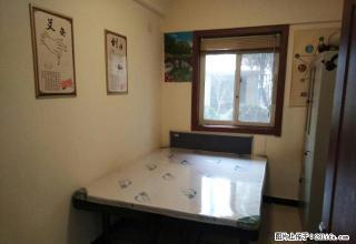 帝和左岸香颂一楼带院出租简约装修3室2厅南北通透办公 - 商丘28生活网 sq.28life.com