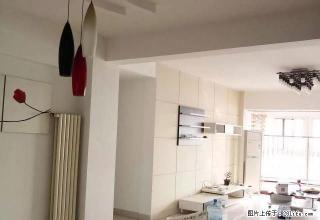 喜来登 神火大道北段 干净温暖3居室 家电家具齐全 拎包即住 - 商丘28生活网 sq.28life.com