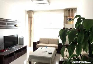 勿看假房新出电梯精装双气三室全新的实木家具家电首次出租 - 商丘28生活网 sq.28life.com