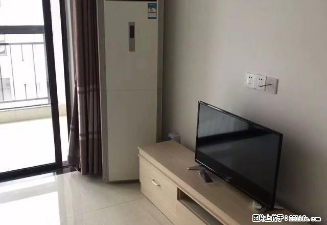 中州路与香君路口 普罗旺斯 电梯房 采光无敌 家具家电全 - 房屋出租 - 房屋租售 - 商丘分类信息 - 商丘28生活网 sq.28life.com