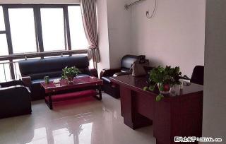 广场沃尔玛 精装一室 办公必看 - 商丘28生活网 sq.28life.com
